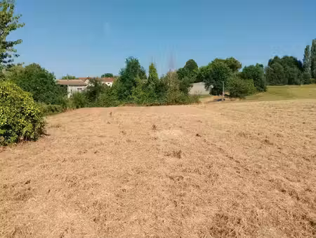 terrain