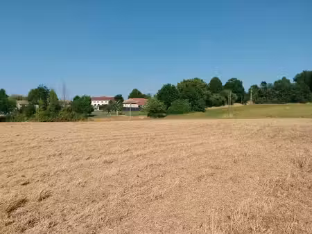 terrain