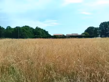 terrain