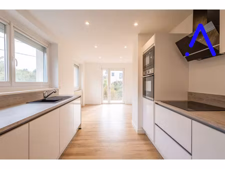 achat maison 7 pièces 171m² baccarat 54120