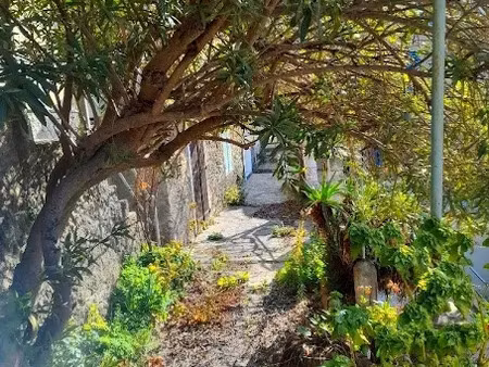 vente maison 7 pièces 120 m² à oletta (20232)  315 000 €
