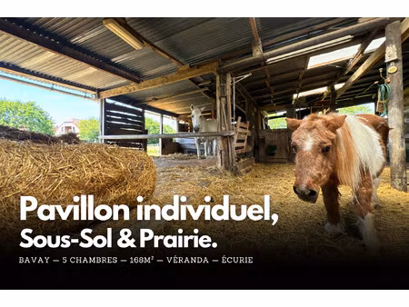 achat maison 7 pièces 168m² bavay 59570