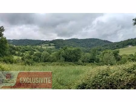 terrain constructible de 2 750 m² à lanteuil ? cadre calme et verdoyant