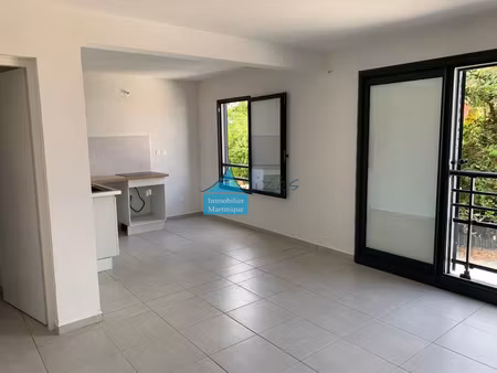 location appartement 3 pièces 60m² st francois 97118