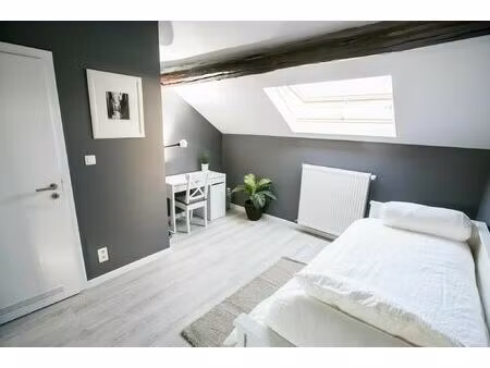 appartement en colocation à rue jacques de lalaing etterbeek (vbe39173)