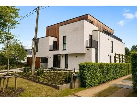 penthouse à vendre à koning leopoldlaan 5 westerlo (rbw30672)