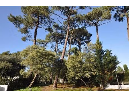 maison arcachon abatilles