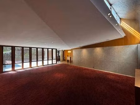 vente commerce annecy 74000 300m²