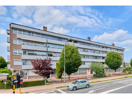 appartement te koop in maaseik met 3 slaapkamers