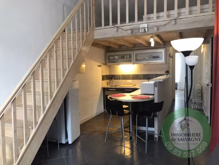 a louer appartement t2 meublé de 45 m2 lyon 3