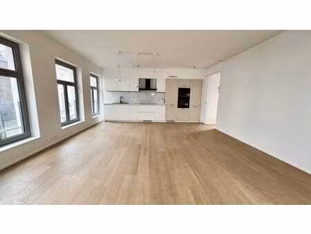 duplex complètement rénové + terrasse-proche de la grand pl