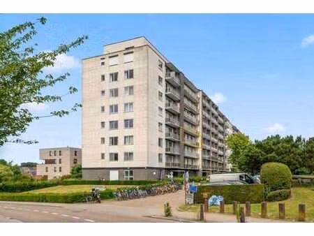 appartement 2 chambres rénové et éconergétique à heverlee