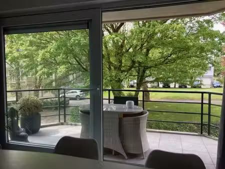 le chant des oiseaux : un petit nid dans la verdure!