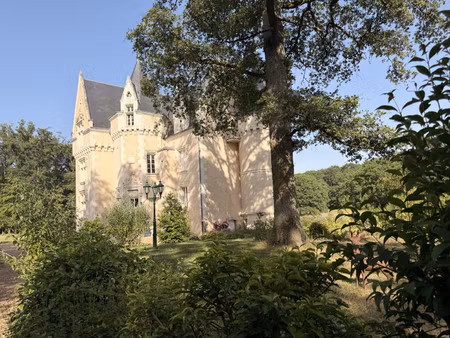 château à vendre à orbigny