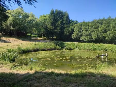 vente terrain 2393 m² sainte-gemmes-le-robert (53600)