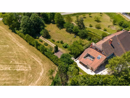 maison de luxe à vendre à saizenay