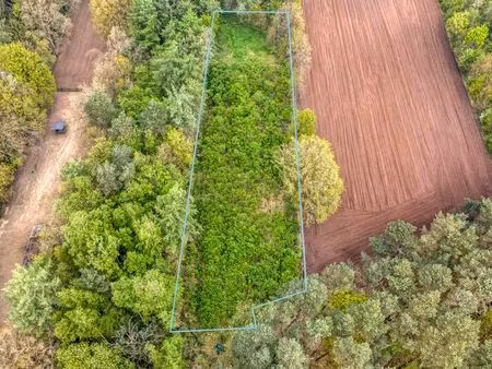 terrain à vendre à lichtaart € 19.995 (lplnp) - vansweevelt herentals | zimmo
