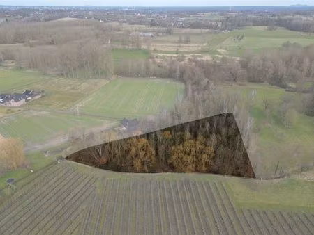 terrain à vendre à hasselt € 60.000 (l4eob) - immo top invest | zimmo