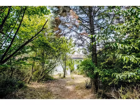 vente maison 2 pièces 60 m² à le bouscat (33110)  890 000 €