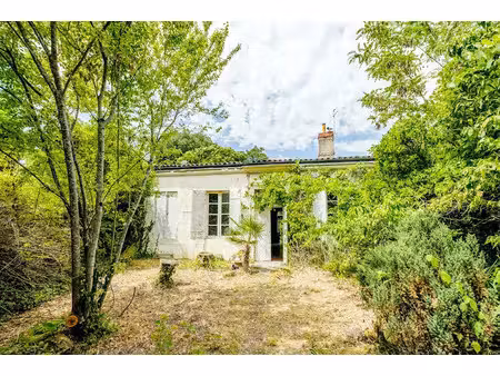 vente maison 6 pièces 160 m² à le bouscat (33110)  1 260 000 €