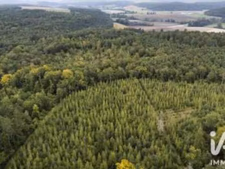 vente terrain à lugos (33830) : à vendre / 9200m² lugos