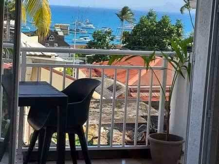 propriétaire particulier