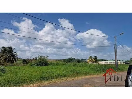 terrain constructible viabilisé à vendre