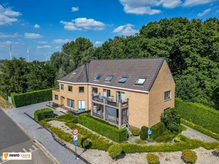 bien professionnel à vendre à munsterbilzen € 645.000 (lpmgs) - immo vadis | zimmo