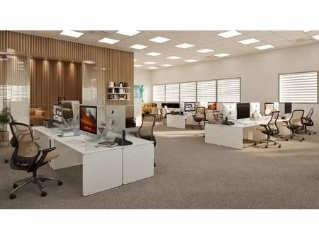 locaux/bureaux caldaniccia