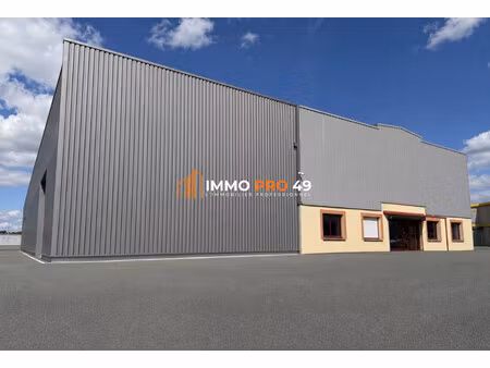 vente local commercial