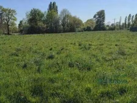 vente terrain à tiercé (49125) : à vendre / 574m² tiercé