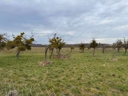 terrain constructible viabilisé à vendre