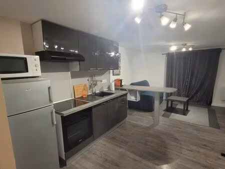 appartement t1 meublé couzon au mont d'or