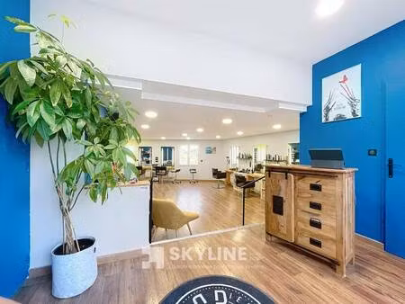 skyline real estate
