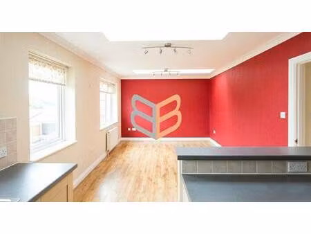 borbiconi immobilier