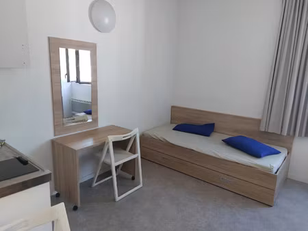 location appartement 1 pièce 18 m² à caluire-et-cuire (69300)