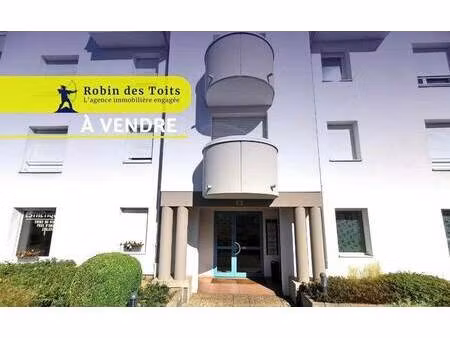 robin des toits