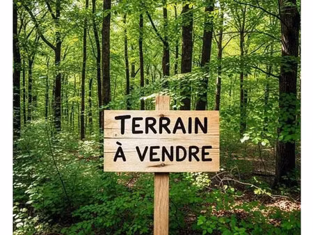 vente terrain 15330 m² béganne (56350)