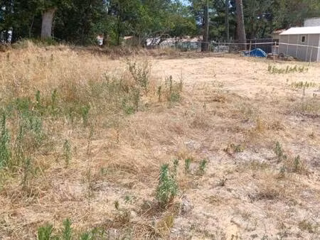 terrain constructible viabilisé à vendre
