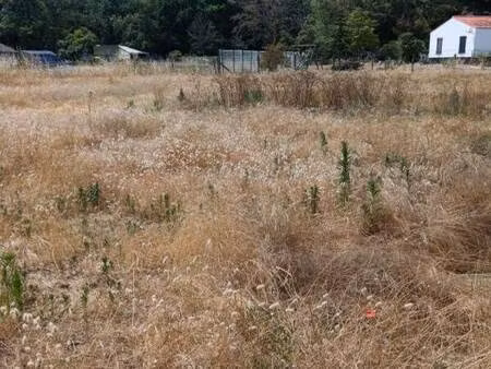 terrain constructible viabilisé à vendre