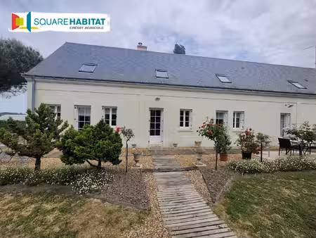 longère de charme rénovée avec piscine  dépendances et hangar -varennes-sur-loire