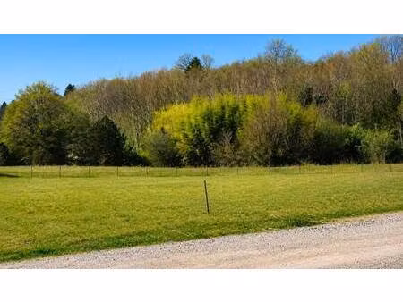 terrain constructible viabilisé à vendre