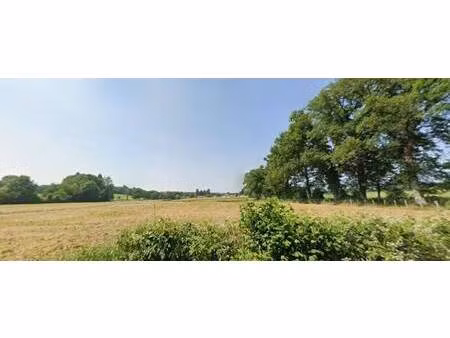terrain constructible viabilisé à vendre