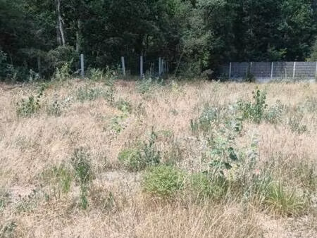 terrain constructible viabilisé à vendre