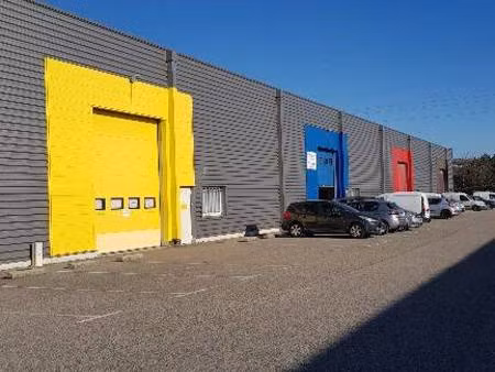 immobilière les allées