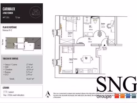 s.n.g immobilier