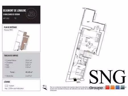 s.n.g immobilier
