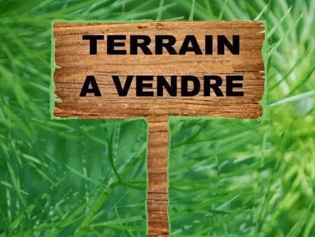 terrain constructible viabilisé à vendre