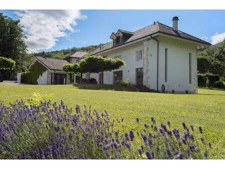 sandra liz