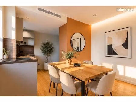 t3 duplex atypique entièrement rénové - climatisation - vue panoramique sur la saône